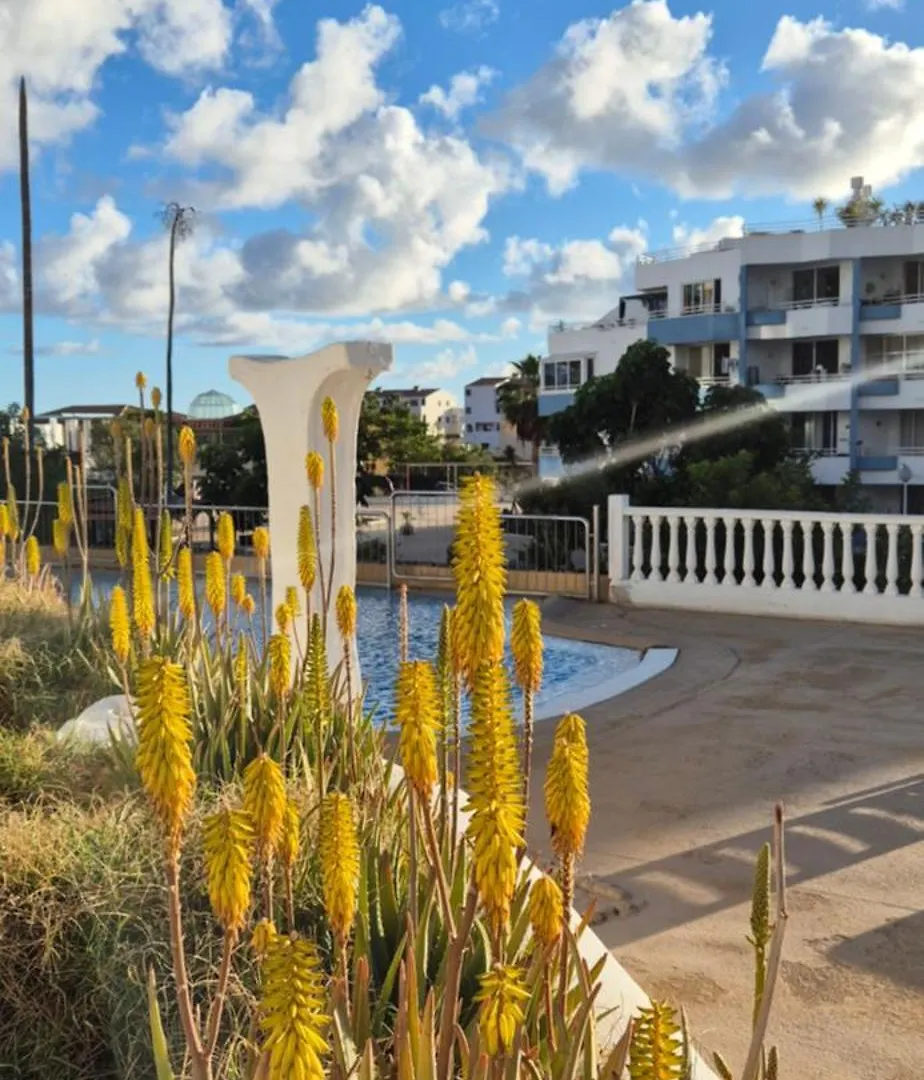 Relax Flat Palm View Lejlighed San Miguel de Abona Spanien